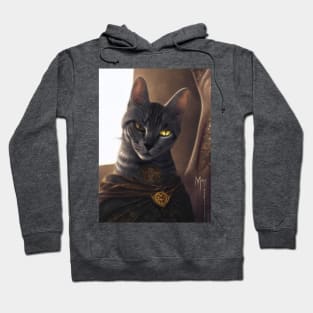 Mystic Mage cat: Supreme sorcerer Hoodie